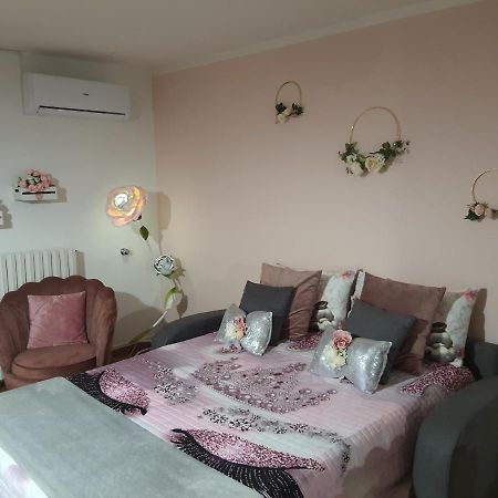 Shabby Chic Rooms Con Cucina E Giardino Privato Pomarico Zewnętrze zdjęcie